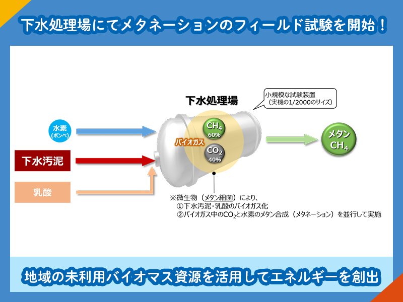 Ń^l[ṼtB[hX^[g