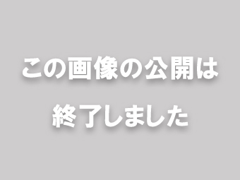 uEꂩNCYvJ