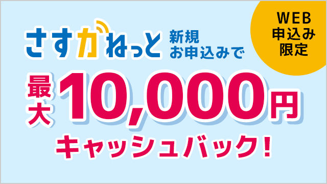 WEB\݌ K˂ VK\݂ōő10,000~LbVobNI
