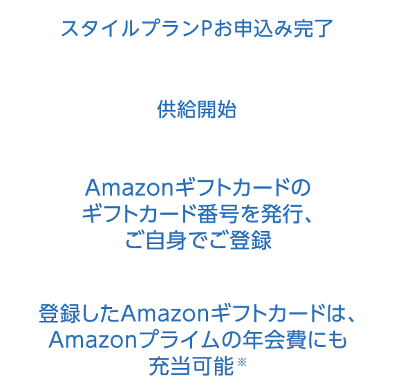 X^CvP\݊ Jn AmazonMtgJ[h̃MtgJ[hԍ𔭍sAgło^ o^AmazonMtgJ[h́AAmazonvC̔Nɂ[\