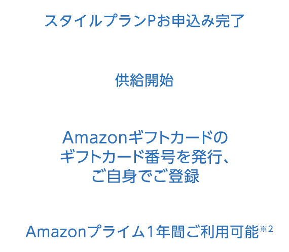 X^CvP\݊ Jn AmazonMtgJ[h̃MtgJ[hԍ𔭍sAgło^ AmazonvC1NԂp\2