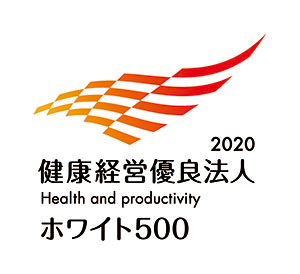 NocDǖ@l2020iK͖@lj`zCg500`