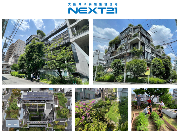 NEXT21 NEXT21