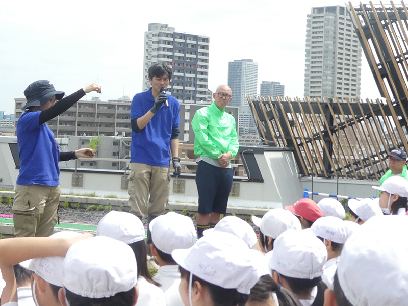 米作りの先生から苗の取り方と植え方をレクチャー