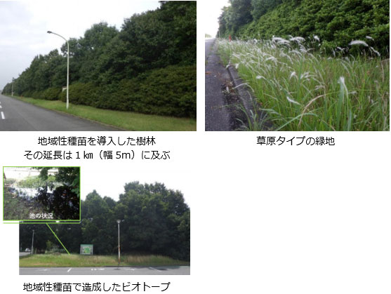 泉北製造所内 泉北製造所内